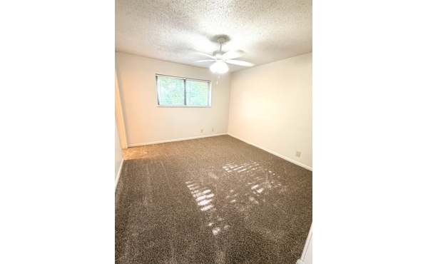 1514d62e-ec15-4bf8-8818-0a275679e274